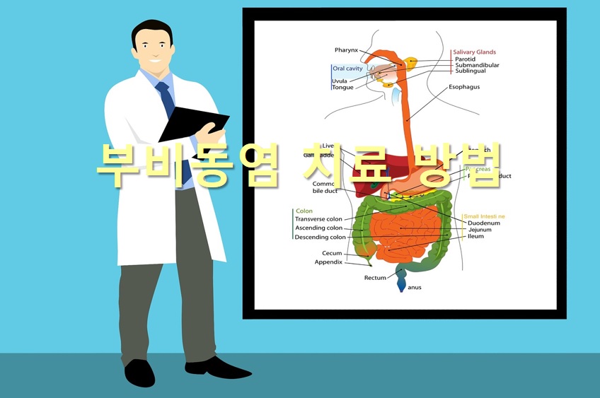  부비동염 치료 방법과 부비동염 항생제 복용기간