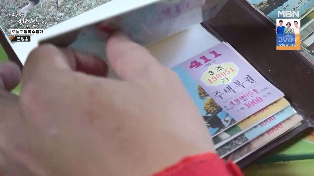 나는 자연인이다.E578.231102p-NEXT.mp4_20231102_202935.171.jpg