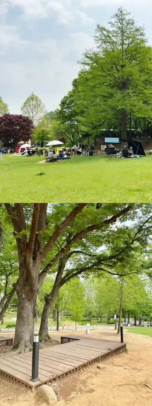 경기상상캠퍼스 캠핑장-사진