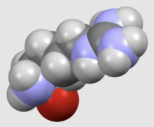 아르기닌의 분자구조 2D