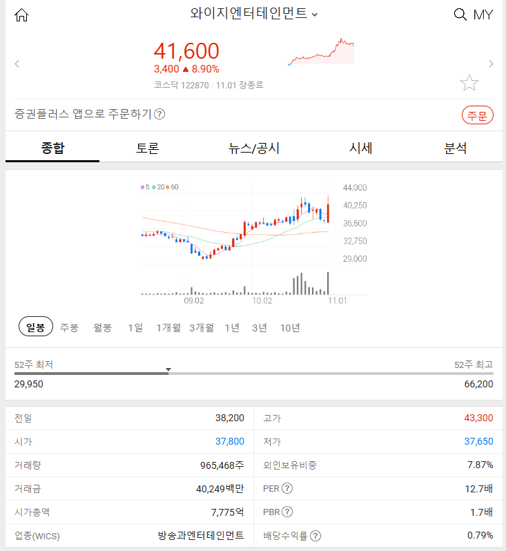 와이지홀딩스 이미지
