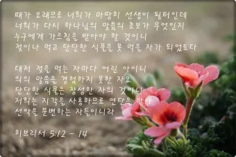 예배 시작 기도문 개회 기도문 모음 10가지_34