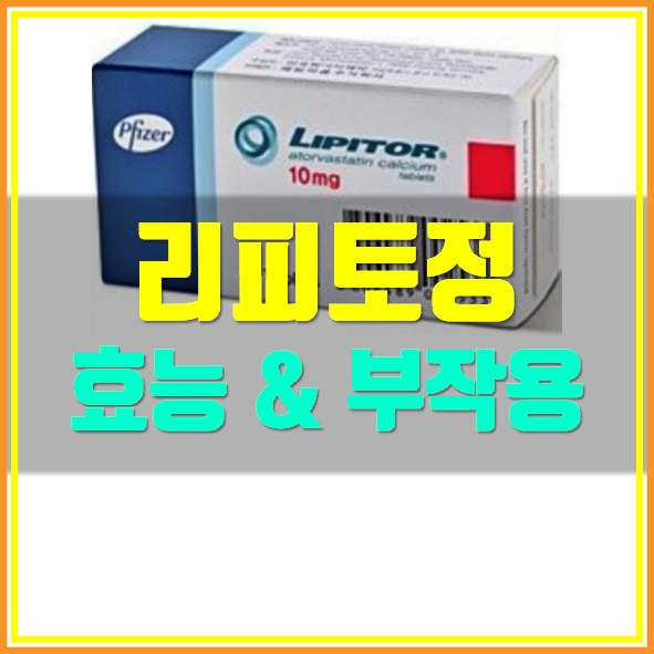  리피토정 10mg 효능 부작용
