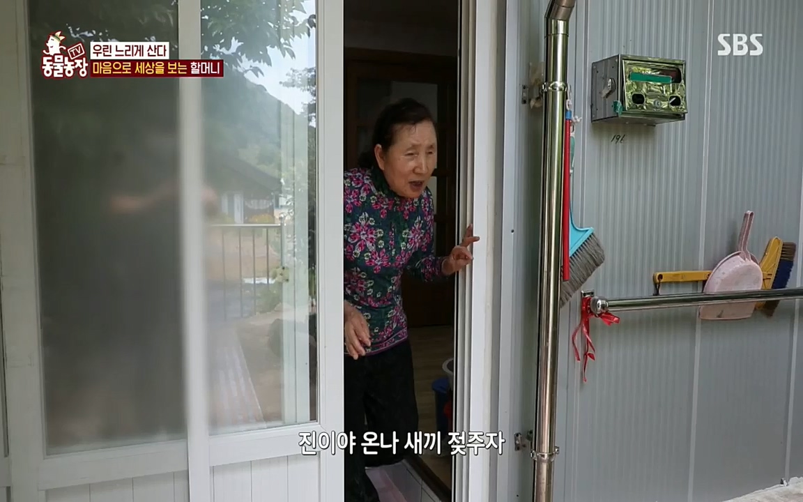 TV 동물농장.E1076.220704p.H264-F1RST.mp4_20220703_175606.604.jpg