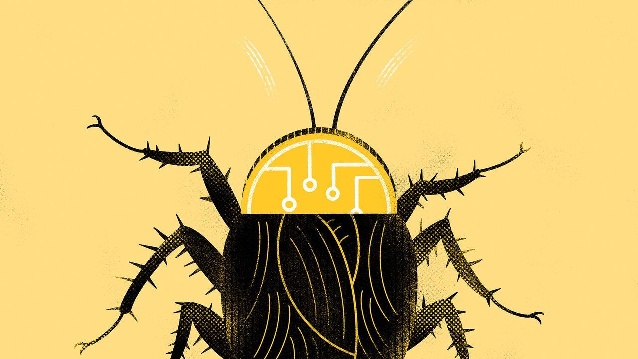 암호화폐-바퀴벌레-이론-이코노미스트