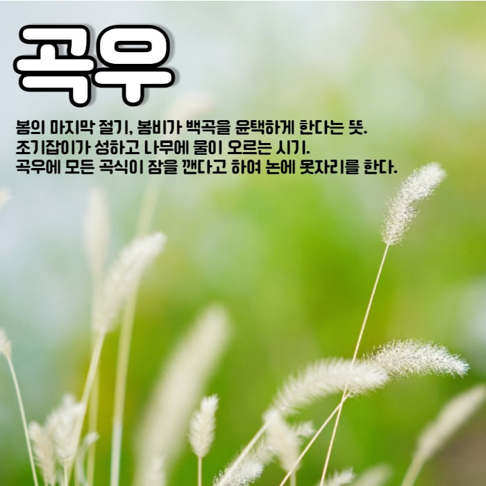  곡우 인사말 이미지, 뜻, 음식, 속담, 곡우물