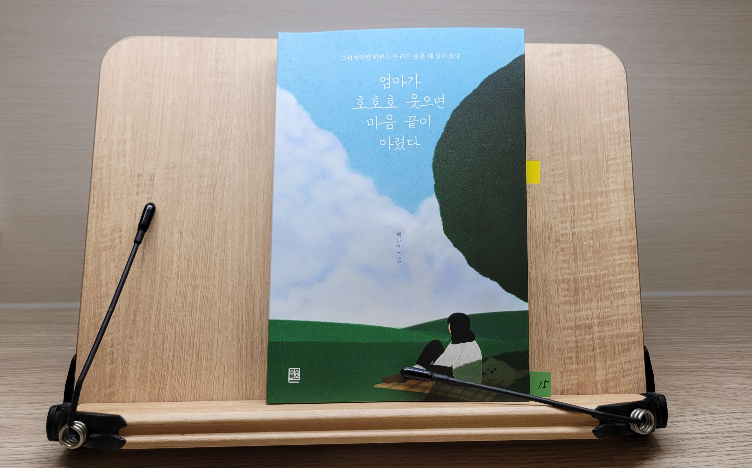  [책리뷰] 엄마가 호호호 웃으면 마음 끝이 아렸다, 박태이 지음