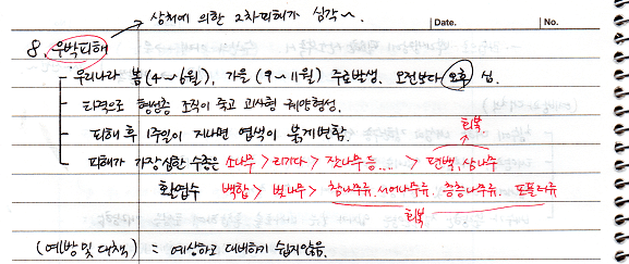  [비생물적피해론] 우박피해, 염해