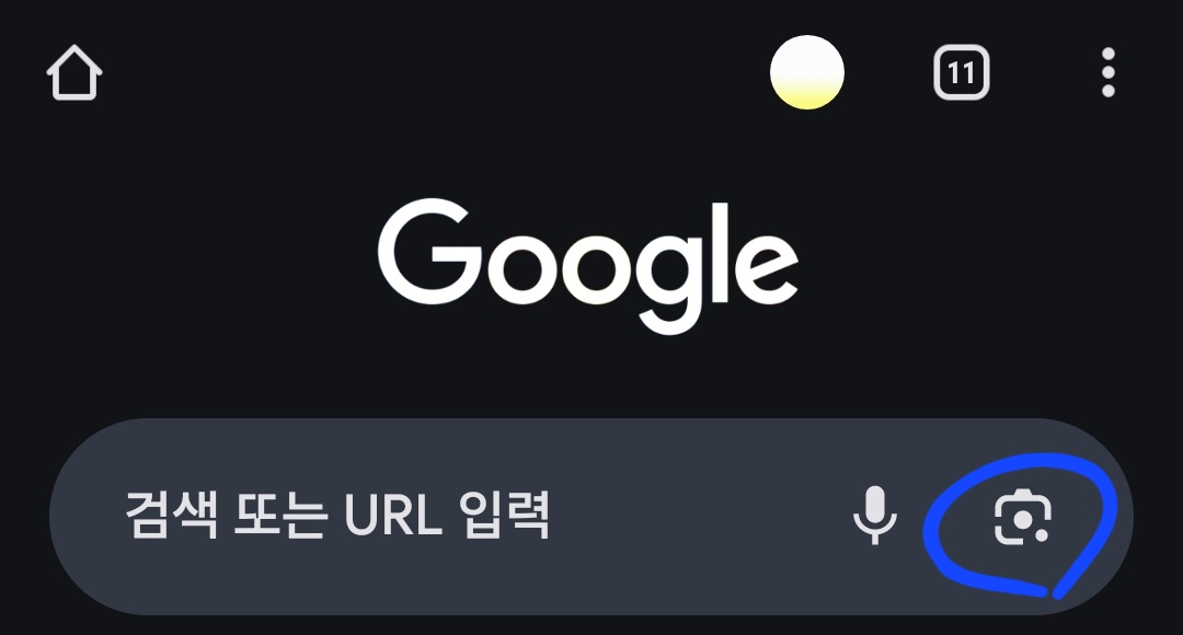 Google 홈 화면