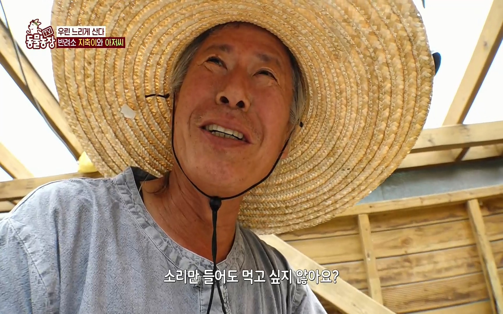 TV 동물농장.E1074.220619p.H264-F1RST.mp4_20220619_181424.071.jpg