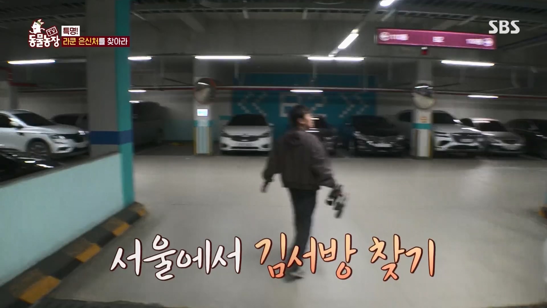 TV 동물농장.E1170.240505p.H264-F1RST.mp4_20240505_153758.902.jpg