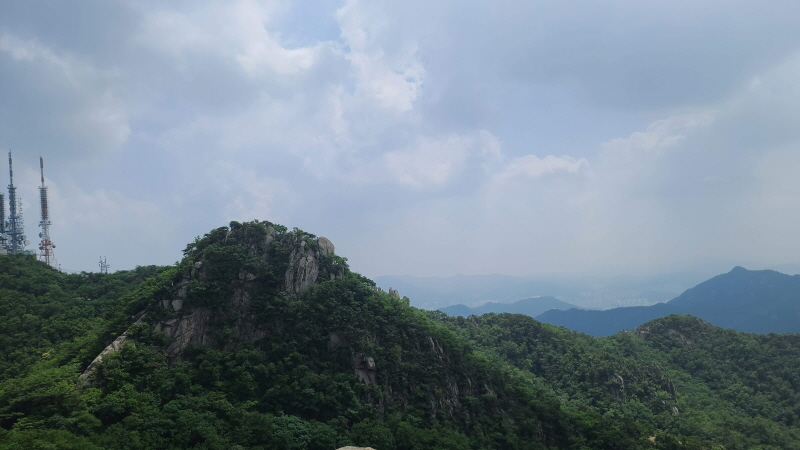 닷새 이미지