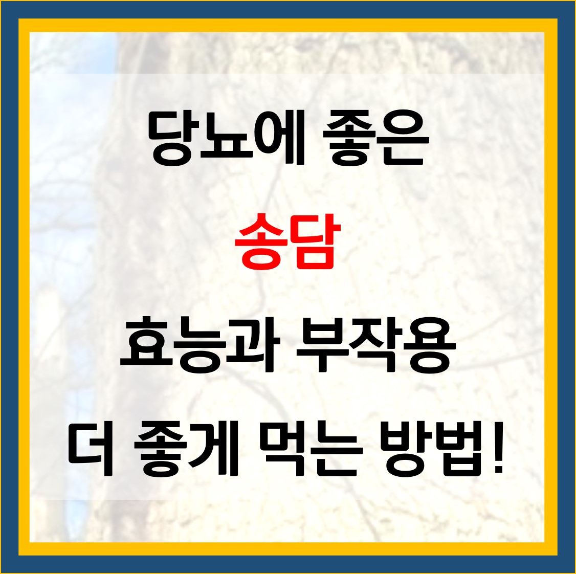  송담 효능 5가지! 당뇨 기관지 기능 개선 등