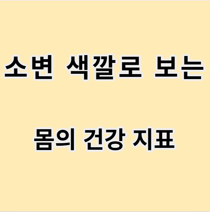 오줌과 소변 색깔로 보는 몸의 건강 지표 글 이미지