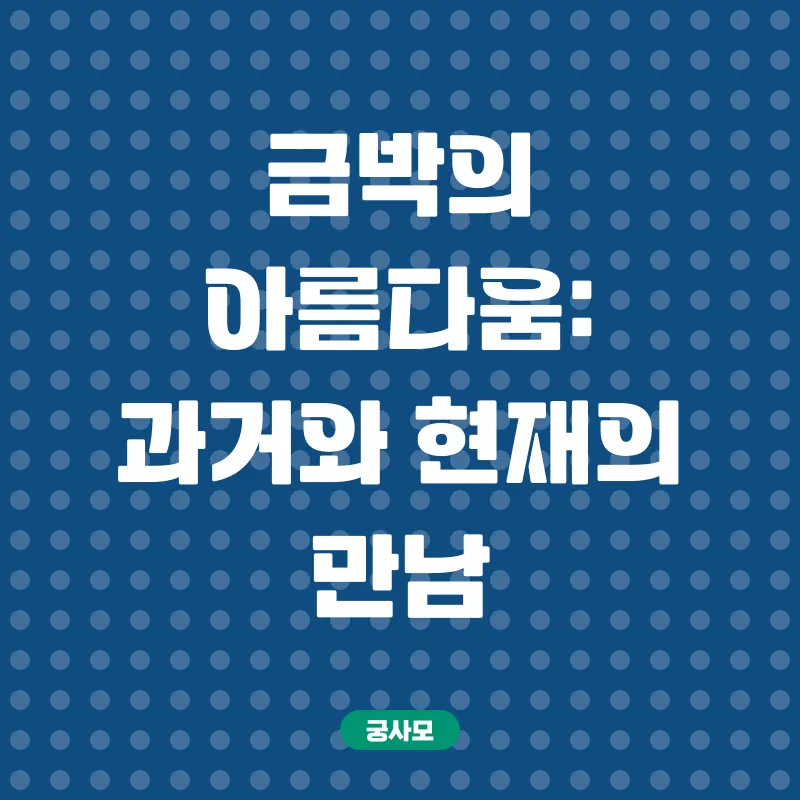 아이나나 메탈 카드 앙코르_2