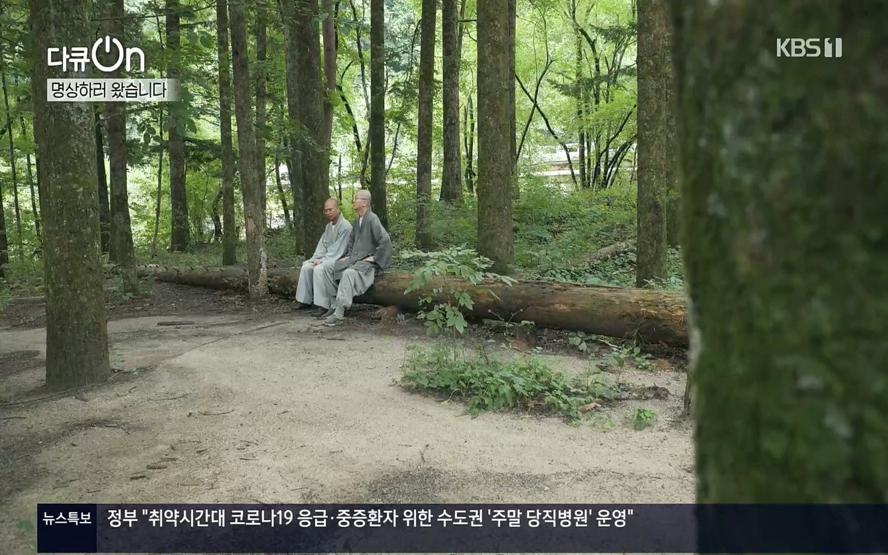다큐 On.E157.220916p.H264-F1RST.mp4_20220917_184347.101.jpg