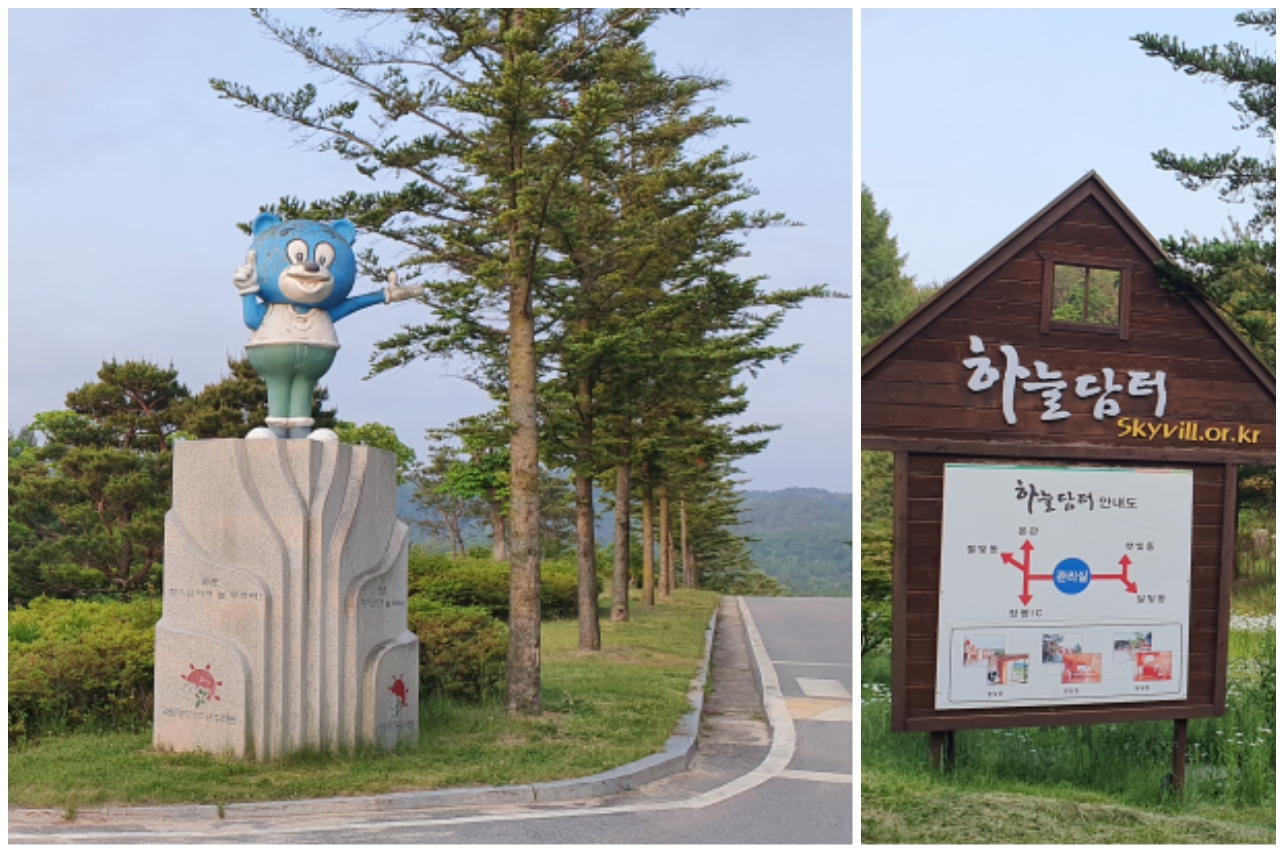 한국숲해설가협회 이미지