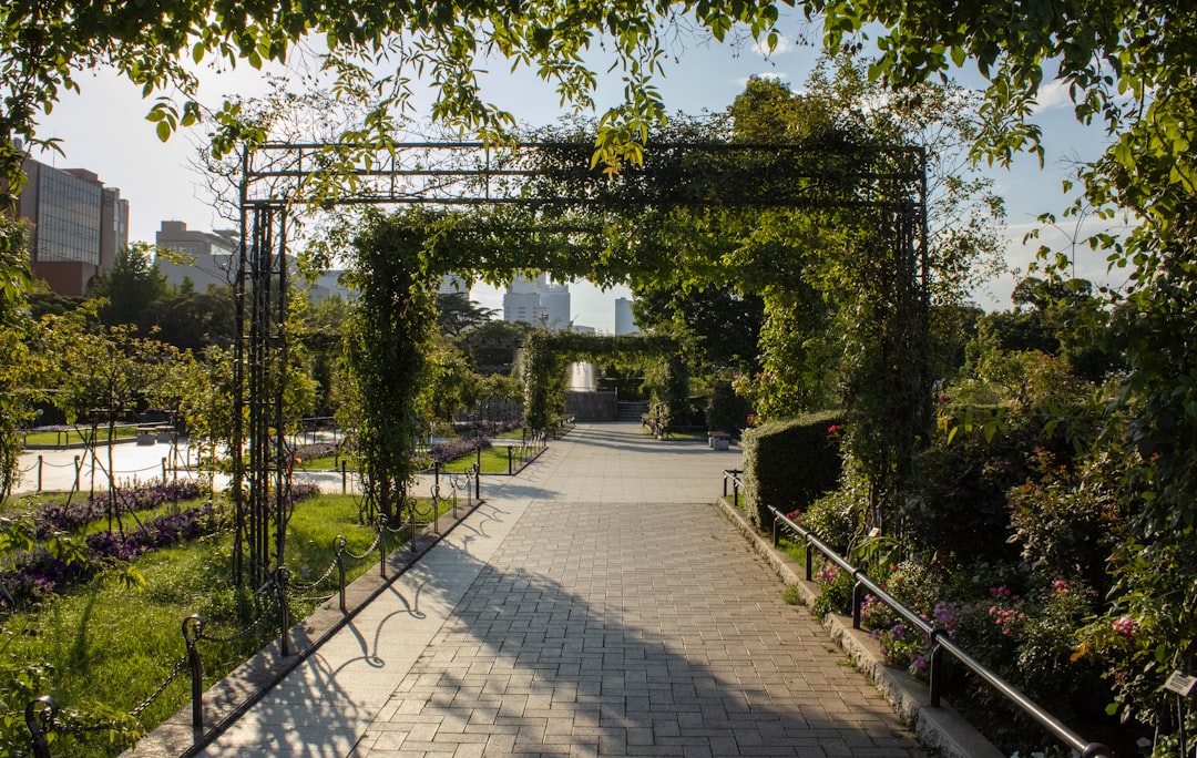 Vivaldi Park