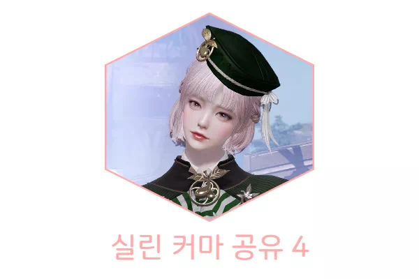  [상시공유] 로스트아크 실린 커마 공유 4