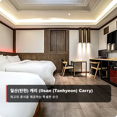 일산(탄현) 캐리 (Ilsan (Tanhyeon) Carry)_2