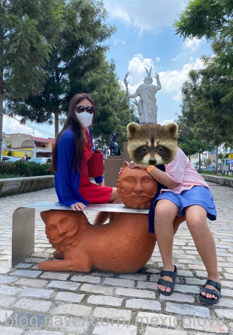 또날라 할리스코 21