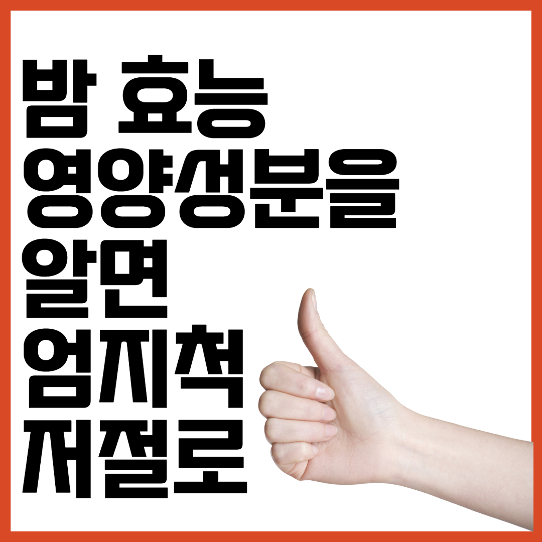  밤(chestnut) 효능, 영양성분을 알면 엄지척이 저절로