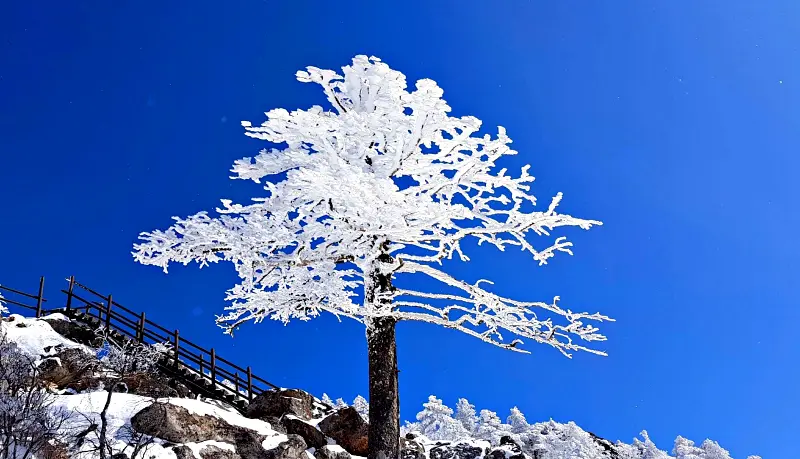 지리산 설경 상고대