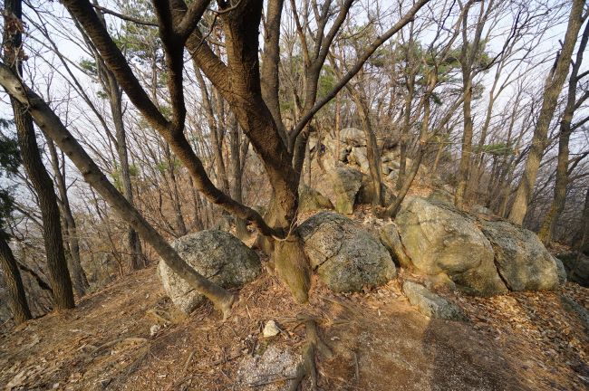 능선길에 쏟아놓은 크고 작은 바위들&#44; 하얀 하늘&#44;