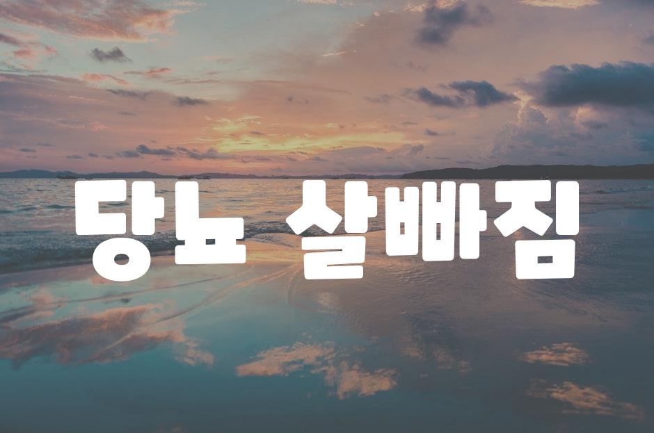 샘플 (81)