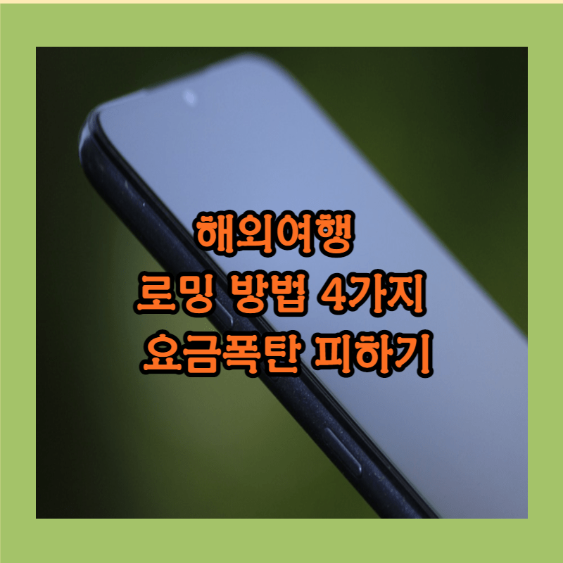 해외로밍