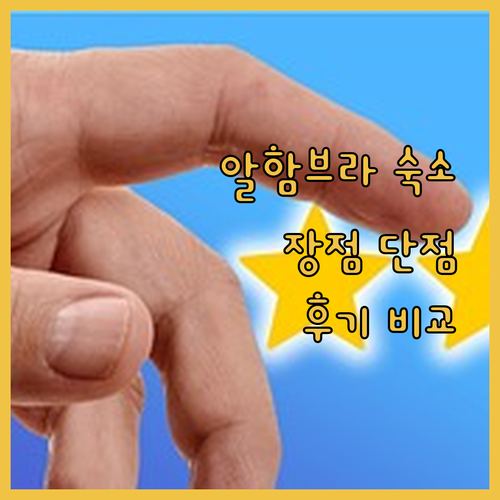 알함브라 궁전 근처 아크 하우스 그라