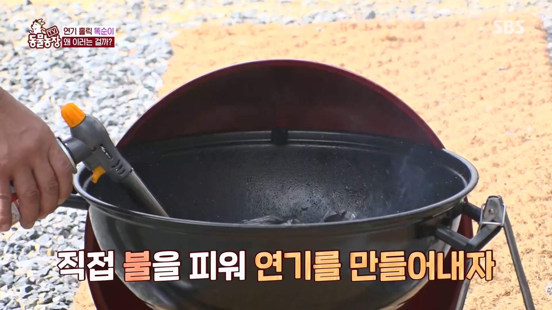TV 동물농장.E1148.231203p.H264-F1RST.mp4_20231203_181433.023.jpg