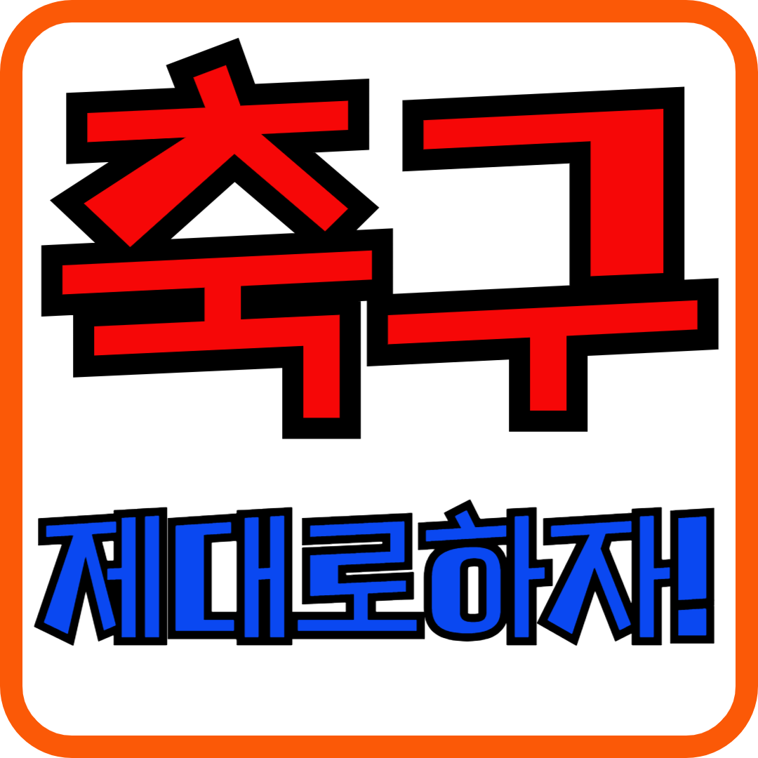 축구제대로하자