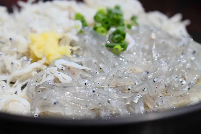 짠멸치 싱겁게 만드는 방법 꿀팁_4
