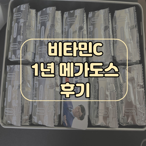 비타민C 메가도스 후기