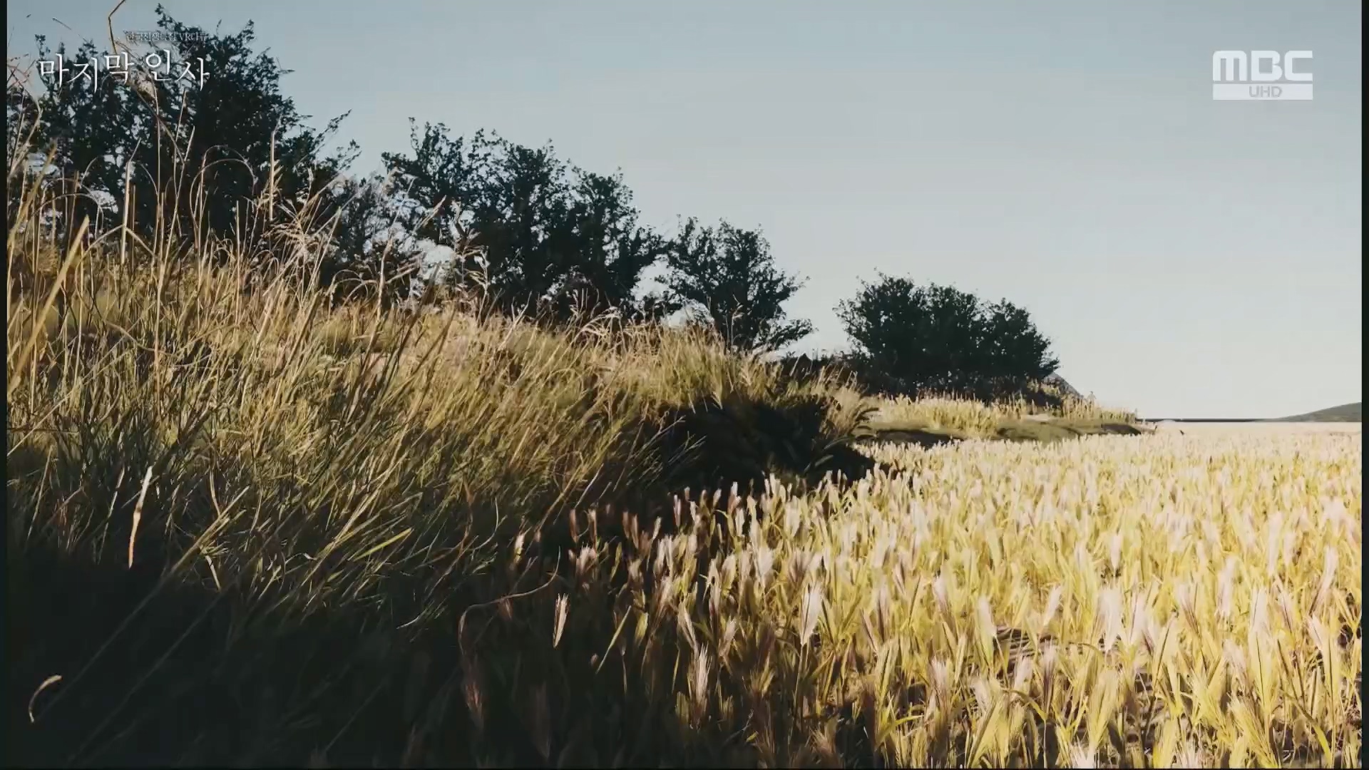 한국전쟁 특집 VR 다큐 마지막 인사.240625p.H264-F1RST.mp4_20240626_200621.921.jpg