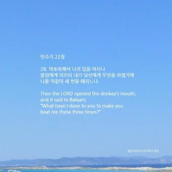 민수기 22장 발락과 발람 묵상_21