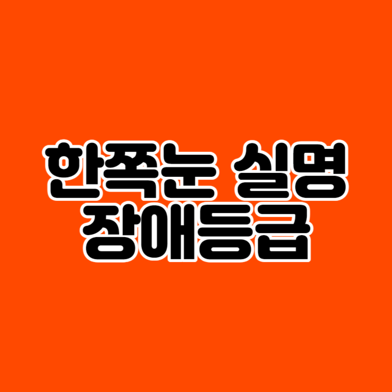 한쪽눈 실명 장애등급