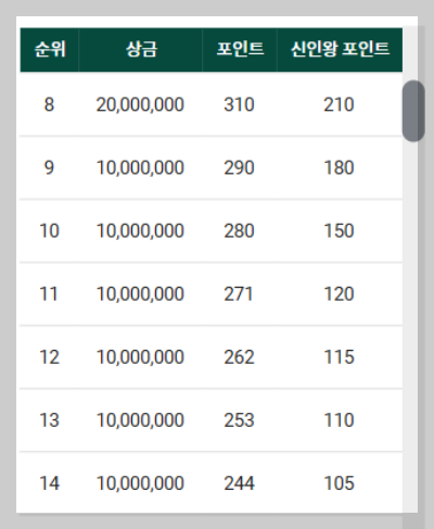 데상트코리아 매치플레이