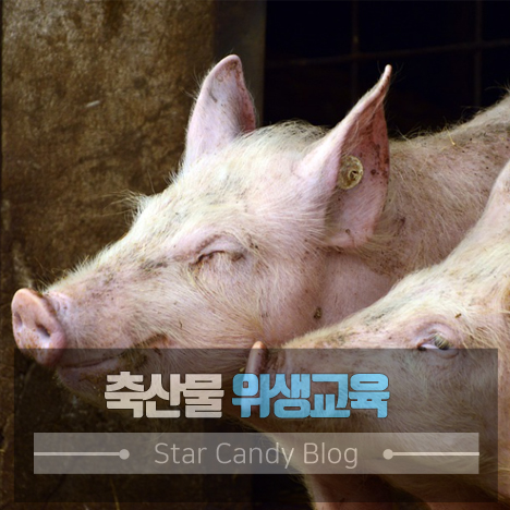 축산물 위생교육