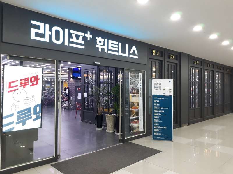 4.1 라이프 플러스의 프로그램