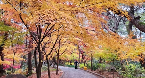 영월 금강공원