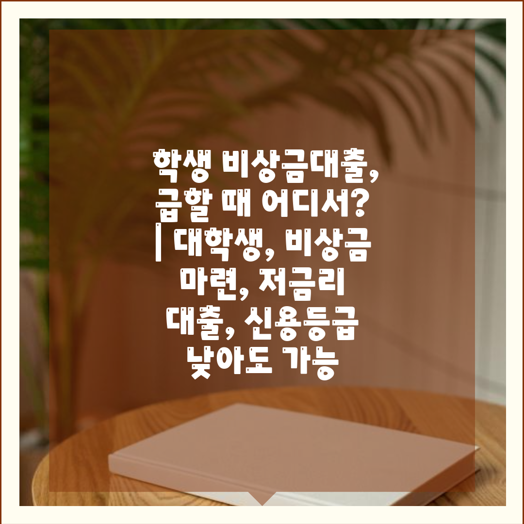  학생 비상금대출, 급할 때 어디서  대학생, 비상금 