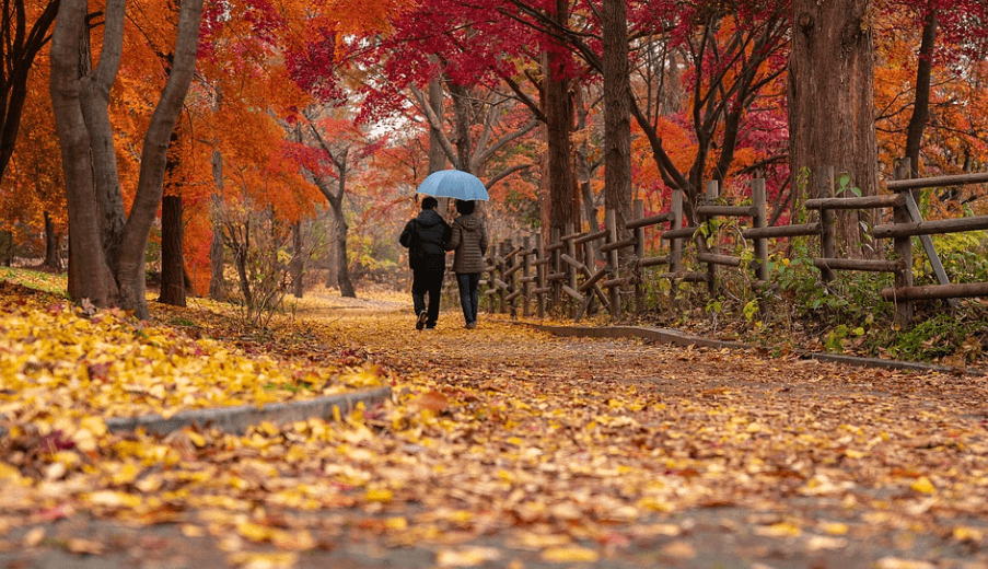 숲속을 연인이 우산을 쓰고 걷고 있다