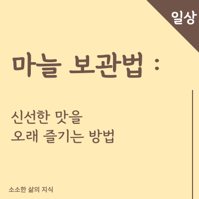 마늘 보관법 신선한 맛을 오래 즐기는 방법