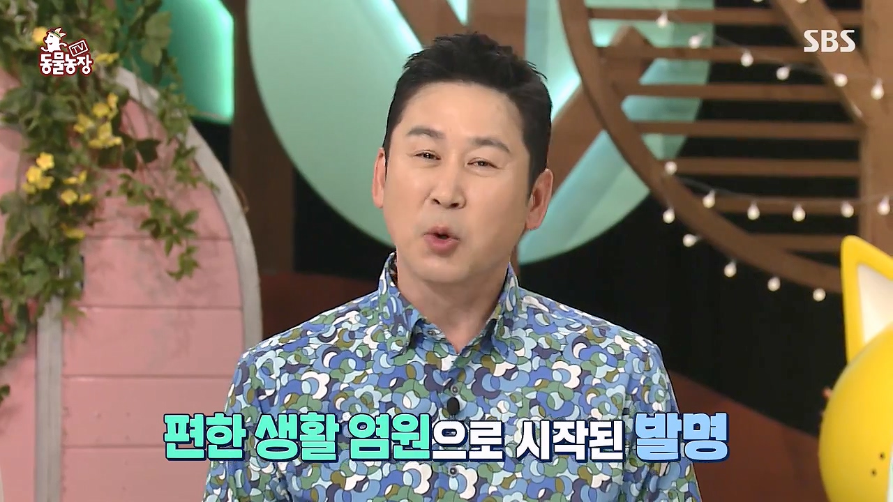 TV 동물농장.E1172.240520p-NEXT.mp4_20240519_162129.677.jpg