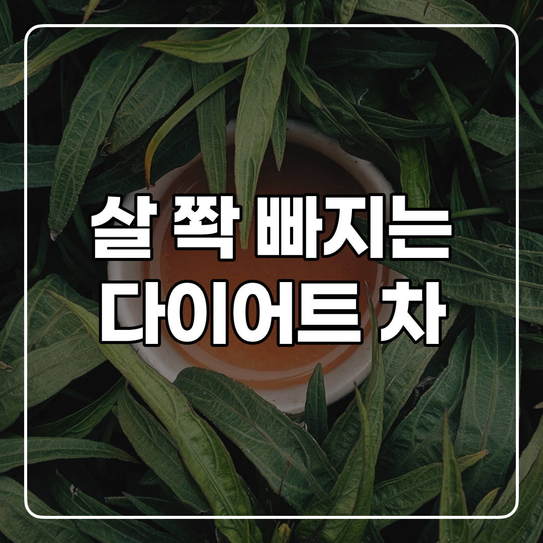  체지방 분해에 좋은 다이어트 차 5개 추천!