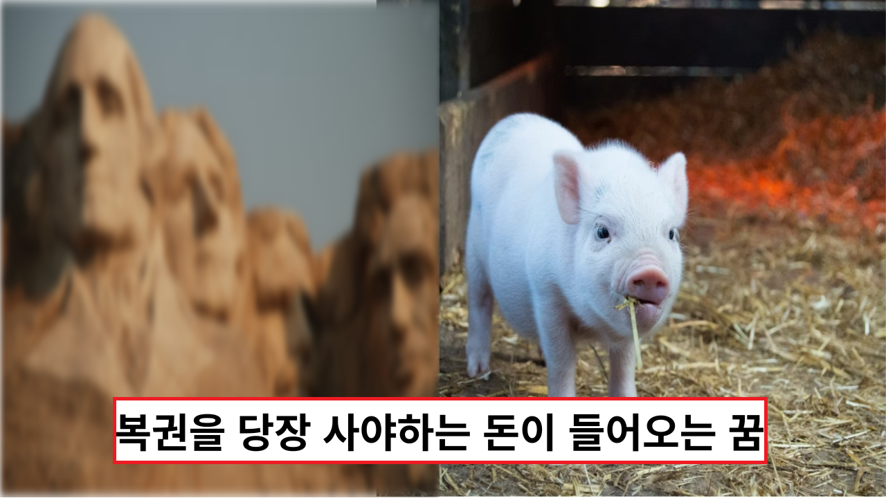  ' 이건 대박입니다' 복권을 당장 사야하는 돈이 들어오는 꿈