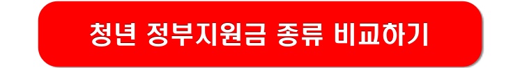 청년-정부지원금-종류-비교하기-링크-이미지