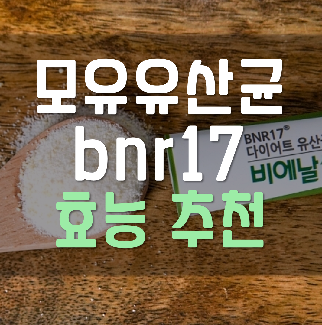  모유 유산균 bnr17 효능 추천